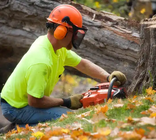 tree services Dent